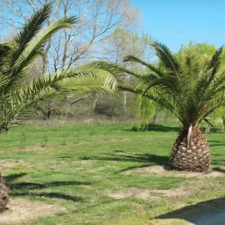 Campo Vecchio Dracena Et Piscine Ghisonaccia
