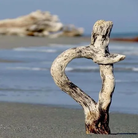 Campo Vecchio Dracena Et Piscine Holiday home Ghisonaccia
