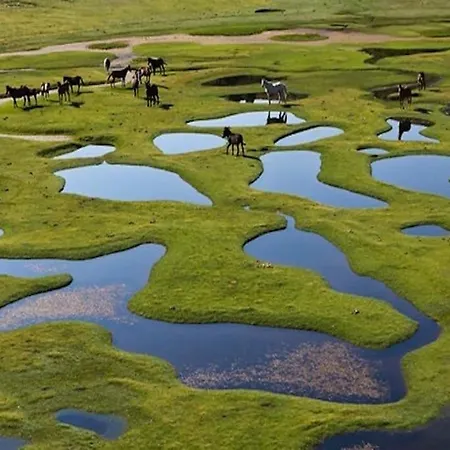 Campo Vecchio Dracena Et Piscine *