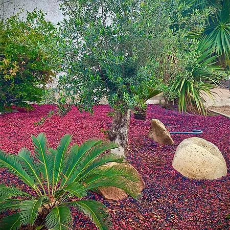 Campo Vecchio Dracena Et Piscine