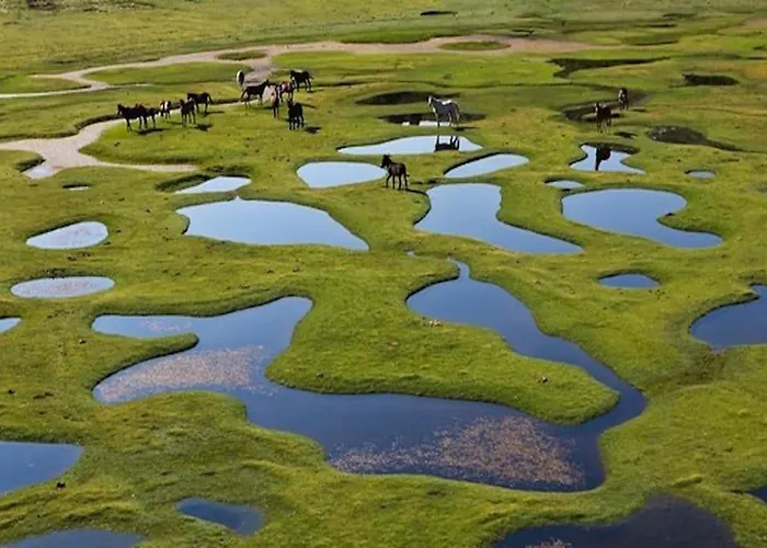 Campo Vecchio Dracena Et Piscine *