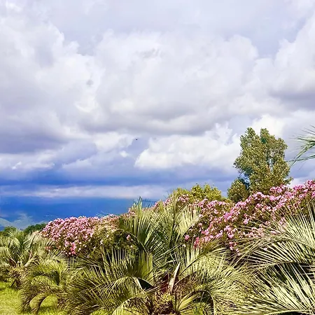 Campo Vecchio Dracena Et Piscine Ferienhaus Ghisonaccia