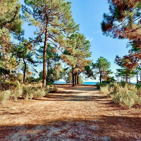 Campo Vecchio Dracena Et Piscine Ferienhaus
