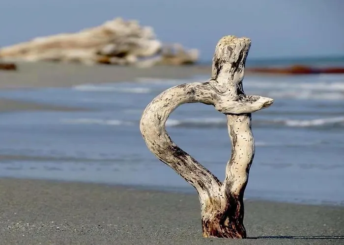 Campo Vecchio Dracena Et Piscine Ferienhaus Ghisonaccia
