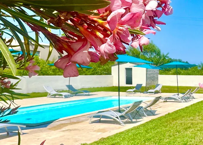 別荘 Campo Vecchio Dracena Et Piscine