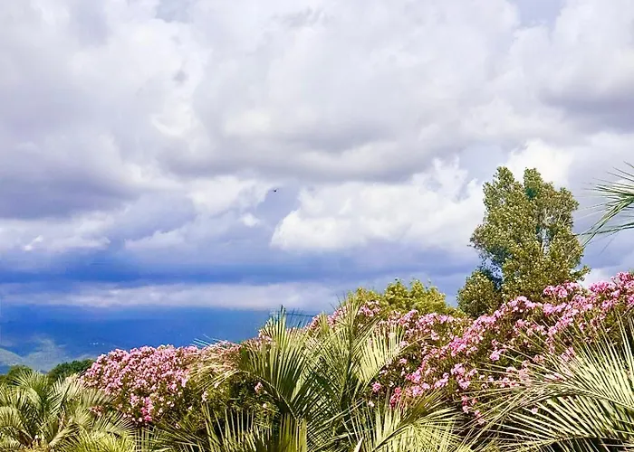 Campo Vecchio Dracena Et Piscine Ferienhaus Ghisonaccia